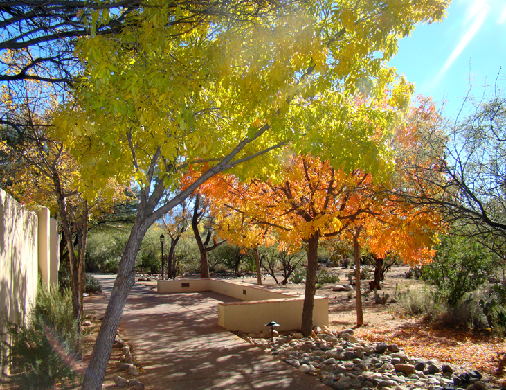 sierra tucson