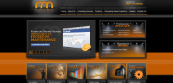 Social Media Optimization SMO Dental Medical Website Design Rosemont Media