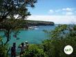 New Sydney Day Tour Celebrates the History, Life, Land and Culture of...