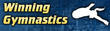Winning Gymnastics is dedicated to helping gymnasts train, and gymnastic coaches teach, the most effective techniques to create championship winners. Founded by Dr. George, Professor Emeritus, Department of Kinesiology, University of Louisiana, our goal is to give you the tools to achieve success in gymnastics competition.