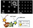 Plasmonics: From metallic Foils to Cancer Treatment