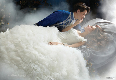 Wedding Dress Shops Indianapolis on Sleeping Beauty Wedding Gown