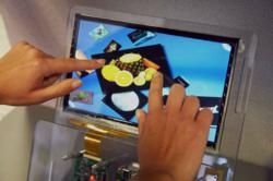 MulTI-Touch Developer Kit with Snowflake Application