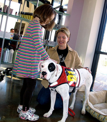 Blo, 24-Hour Cut-A-Thon, Raleigh salon