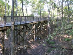 15 ft High Elevated Boardwalk