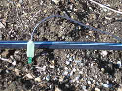 Rainwater harvesting