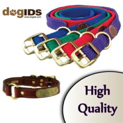 Dog Accessories