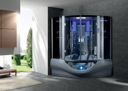 steam shower system