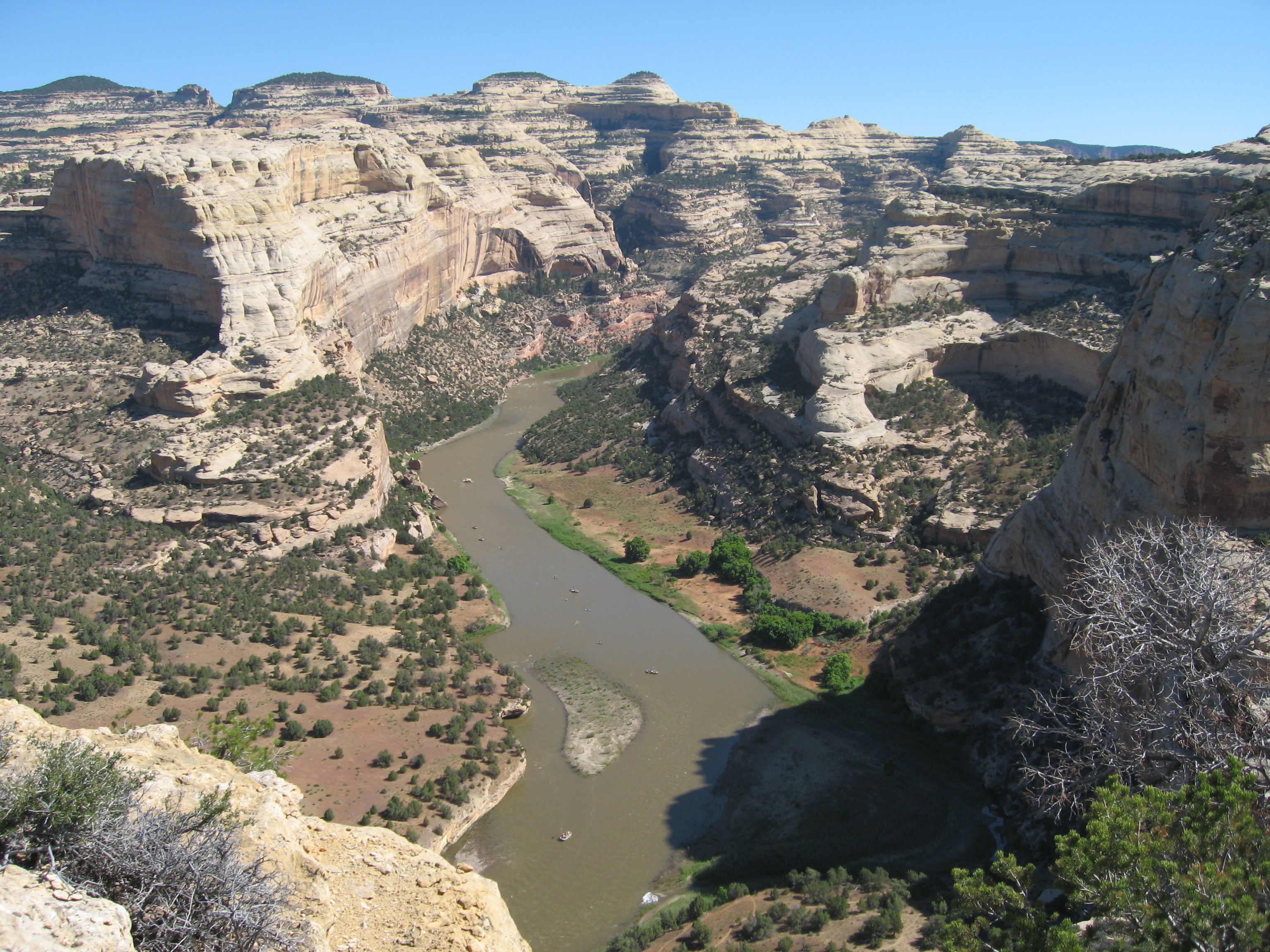 dinosaur green and yampa river