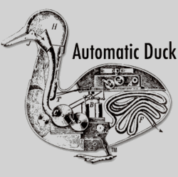 automatic duck