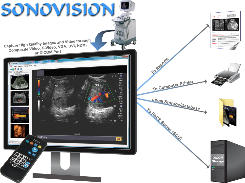 Ultrasound Reporting Software