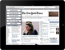 Terra Browser for the iPad
