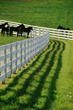 Recent Survey from HorseProperties.Net Concludes 2014 Is The Year To...