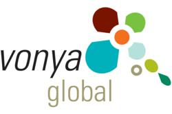 Vonya Global - Fraud Risk Management