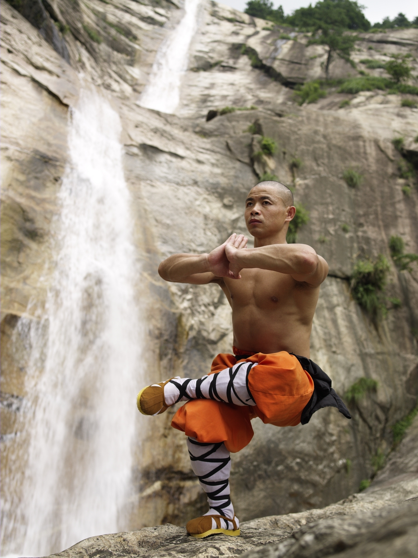 Hollywood Stunt Fighting Meets Shaolin Sanshou: The Ultimate Seminar1357 x 1808