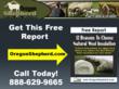Wool Insulation and Natural Insulation Company Continues to Gain...