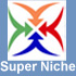 Buy or Sell a Domain through SuperNiche.com's domain broker services.