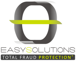 Vision Systems Group Inc Fraud 57