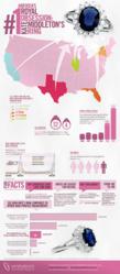 Kate Middleton Infographic By Emitations