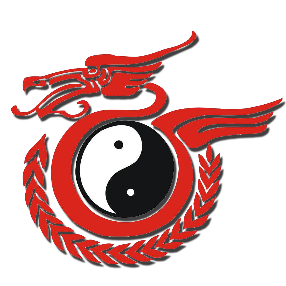 Wushu Kung Fu