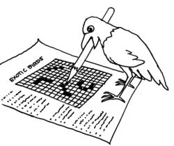 parrot doing puzzle