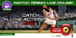 US Open Tennis 2011 live stream - watch US Open Tennis online free