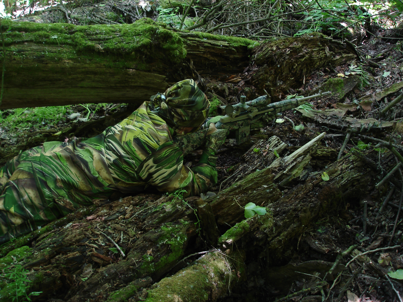 Active Camouflage Pdf