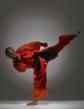 Hollywood Stunt Fighting Meets Shaolin Sanshou: The Ultimate Seminar
