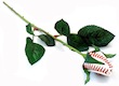 Texas Rangers Feature Baseball Roses at the Ballpark