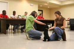 Earn an industry-based certification