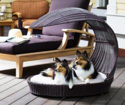 outdoor patio dog bed