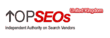 Nettonic Named Best SEO Company in the United Kingdom by topseos.co.uk...