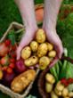 Hungarians Keen On Organic Products