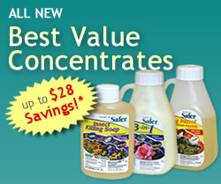 All New Best Value Concentrates from Safer Brand