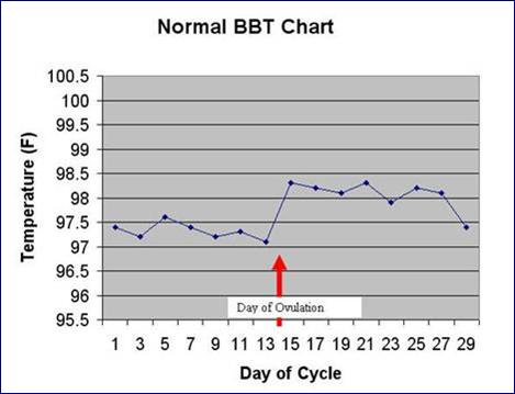 Non Bbt Chart Examples