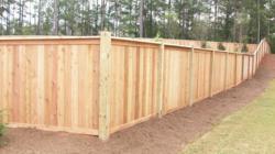 Wooden Yard Fences