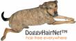 PetNetPlace Introduces Wearable DoggyHairNets™ - Control Shedding dog Hair the Easy way!