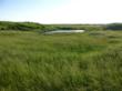 Ducks Unlimited Goebel Ranchland to Be Sold to Highest Bidder