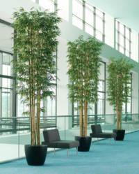 Large 12' Realistic Silk Trees