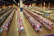 Just Between Friends Fort Worth Celebrates 10th Anniversary as Texas’...