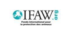 Fonds international pour la protection des animaux Les États-Unis prennent des mesures diplomatiques contre la chasse à la baleine en Islande