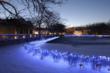 Blue LED Lights at Brookfield Zoo