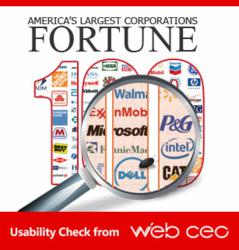 Fortune 100 Companies' usability check conducted by Web CEO