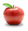 IRS Form 1099-S: 1099fire.com Announces 1099-S Software for 2012 Tax...