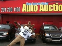 Jersey City Car Dealers >> Carfox Visits New Jersey State Used Car Auto Auction in Jersey City, NJ Jersey City Car Dealers >> Carfox Visits New Jersey State Used Car Auto Auction in Jersey City, NJ