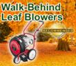 Mowers Direct Announces Best Walk-Behind Leaf Blowers