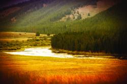 montana hunting land, montanan ranch auction, montana land for sale
