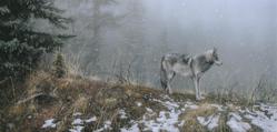 Silent Snows - Stephen Lyman - World-Wide-Art.com