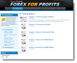 Forex mentorship program
