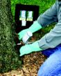 Eliminate Tree Spraying and Control Conifer Diplodia Tip Blight Using...